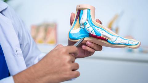  Downloaded    File #:  1018467197 Professional Podiatrist doctor diagnose foot during medical examination of patient, doctor use foot model to explain the problem or injury of bone, structure of ankle, use x-ray to plan a surgery.