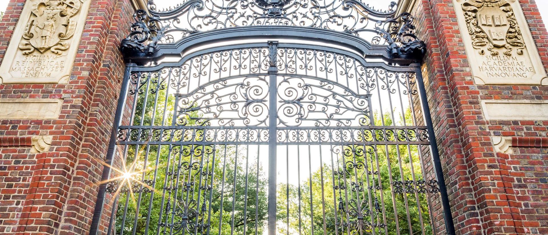 The historic architecture of the iconic Harvard University in Cambridge, MA, USA.