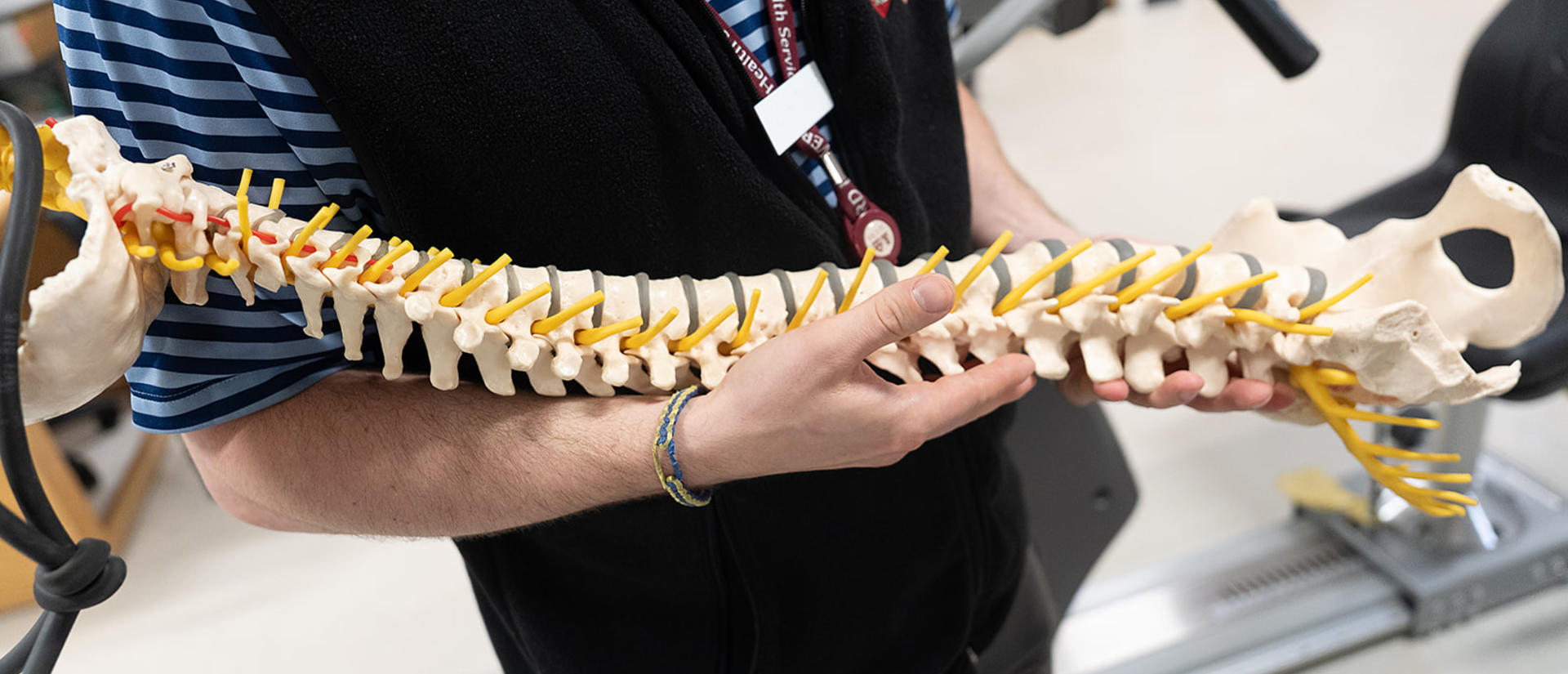 Medical professional holding a model of a spine